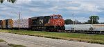 CN 3146